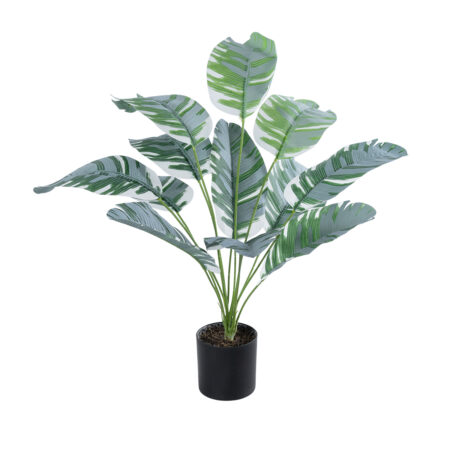 BANANA PLANT ZEBRA 20930 - Διακοσμητικό Φυτό Μπανανιά Ζέβρα Φ70 x Υ55cm - 
