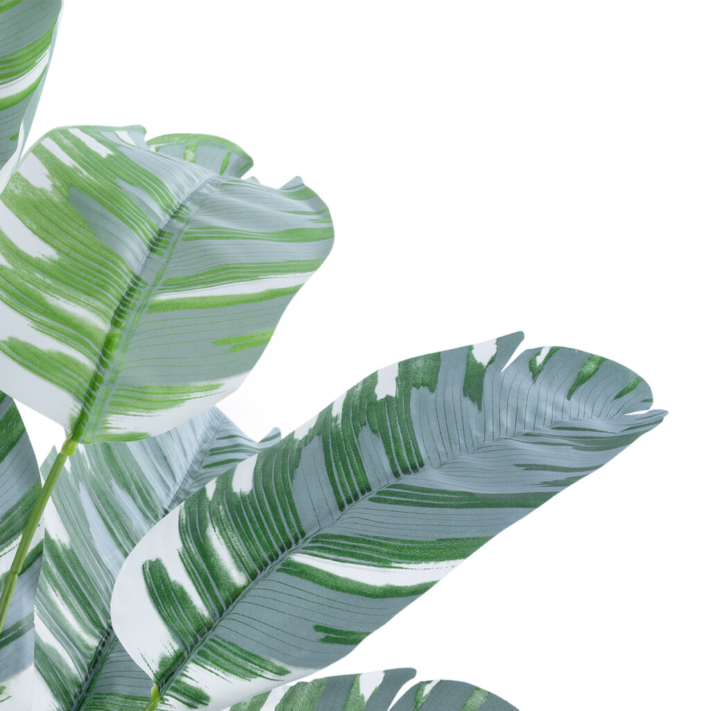 BANANA PLANT ZEBRA 20930 - Διακοσμητικό Φυτό Μπανανιά Ζέβρα Φ70 x Υ55cm