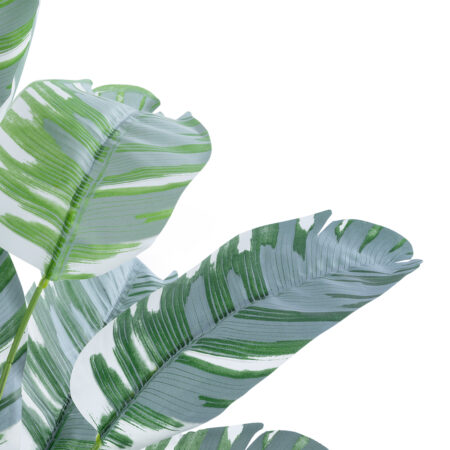 BANANA PLANT ZEBRA 20930 - Διακοσμητικό Φυτό Μπανανιά Ζέβρα Φ70 x Υ55cm -  Sticky 1