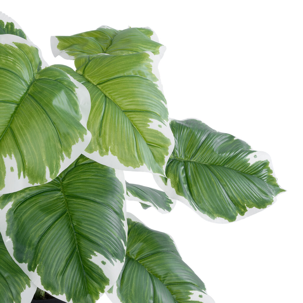 WHITE HOSTA PLANT 20931 Διακοσμητικό Φυτό Λευκή  Χόστα Φ60 x Υ55cm