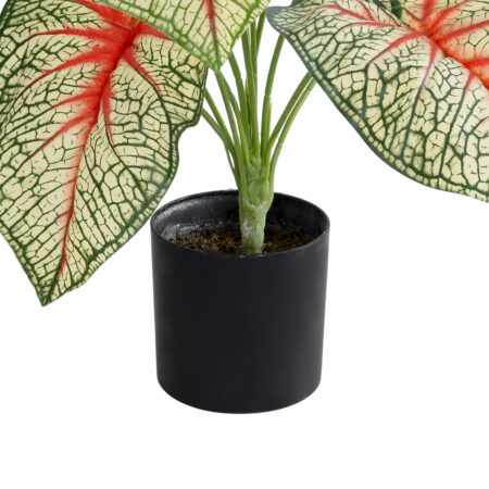 CALADIUM PLANT 20932 Διακοσμητικό Φυτό Καλάντιουμ Φ58 x Υ55cm - Τροπικα και Ιδιαιτερα Τεχνητα φυτα Sticky 2