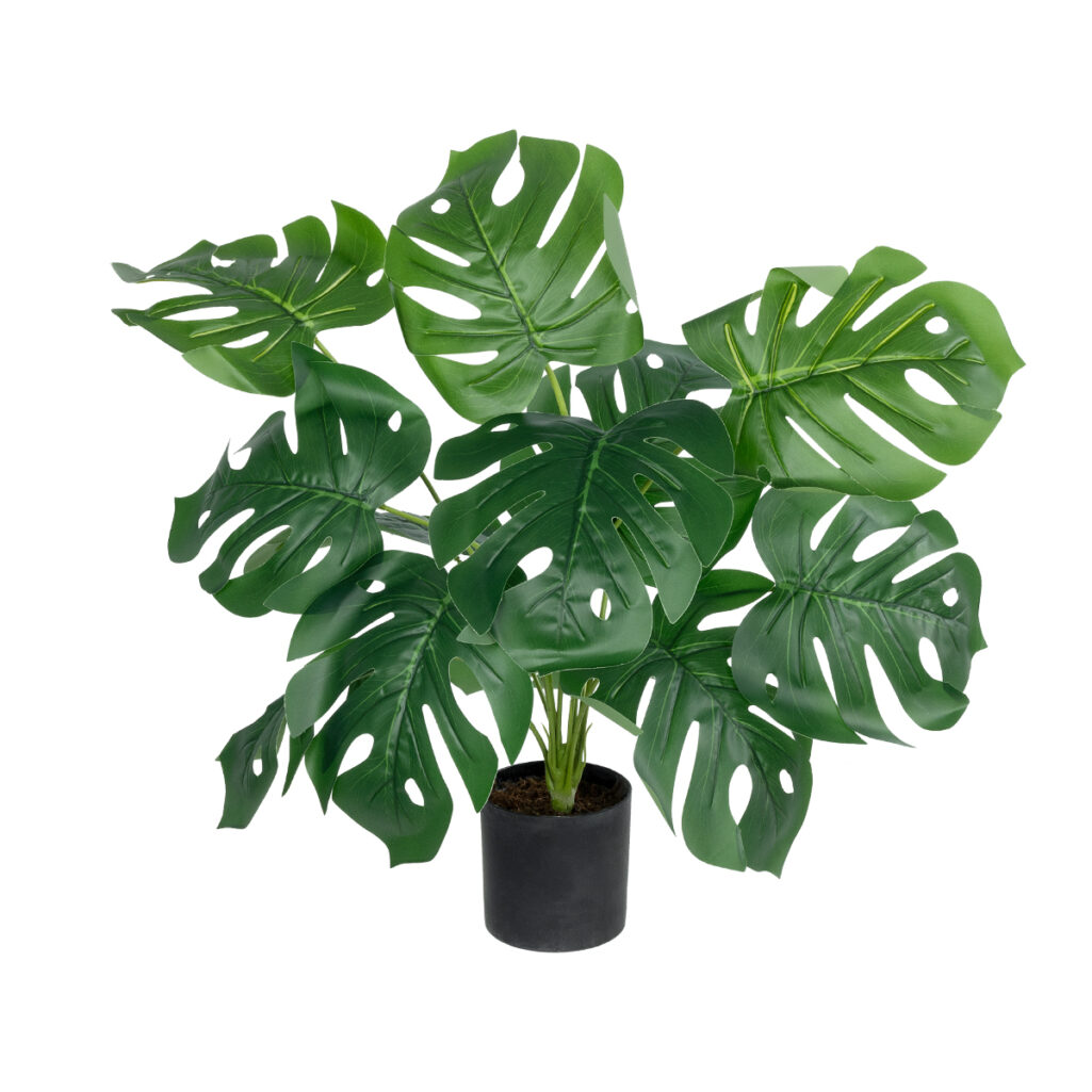 MONSTERA PLANT 20934 - Διακοσμητικό Φυτό Μονστέρα Φ62 x Υ55cm