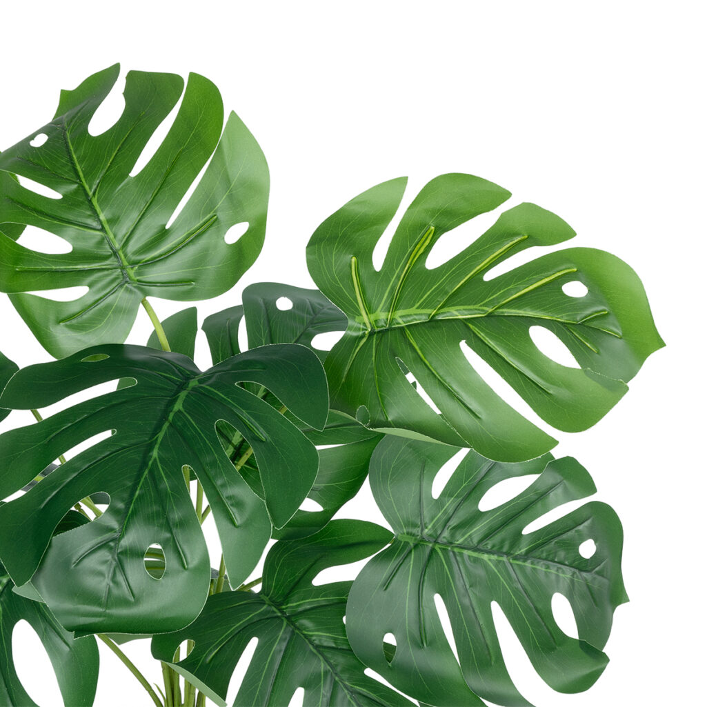 MONSTERA PLANT 20934 - Διακοσμητικό Φυτό Μονστέρα Φ62 x Υ55cm