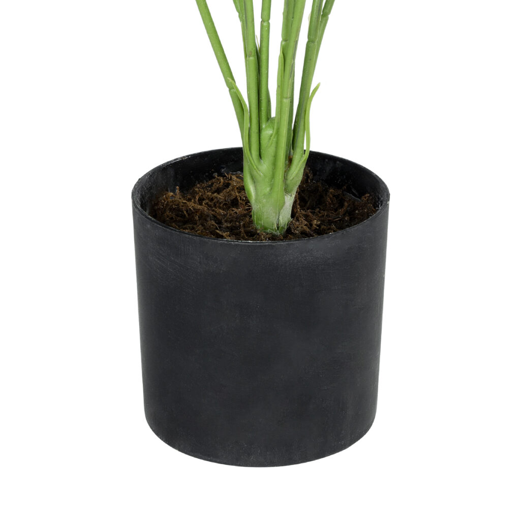 MONSTERA PLANT 20934 - Διακοσμητικό Φυτό Μονστέρα Φ62 x Υ55cm