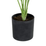 MONSTERA PLANT 20934 - Διακοσμητικό Φυτό Μονστέρα Φ62 x Υ55cm