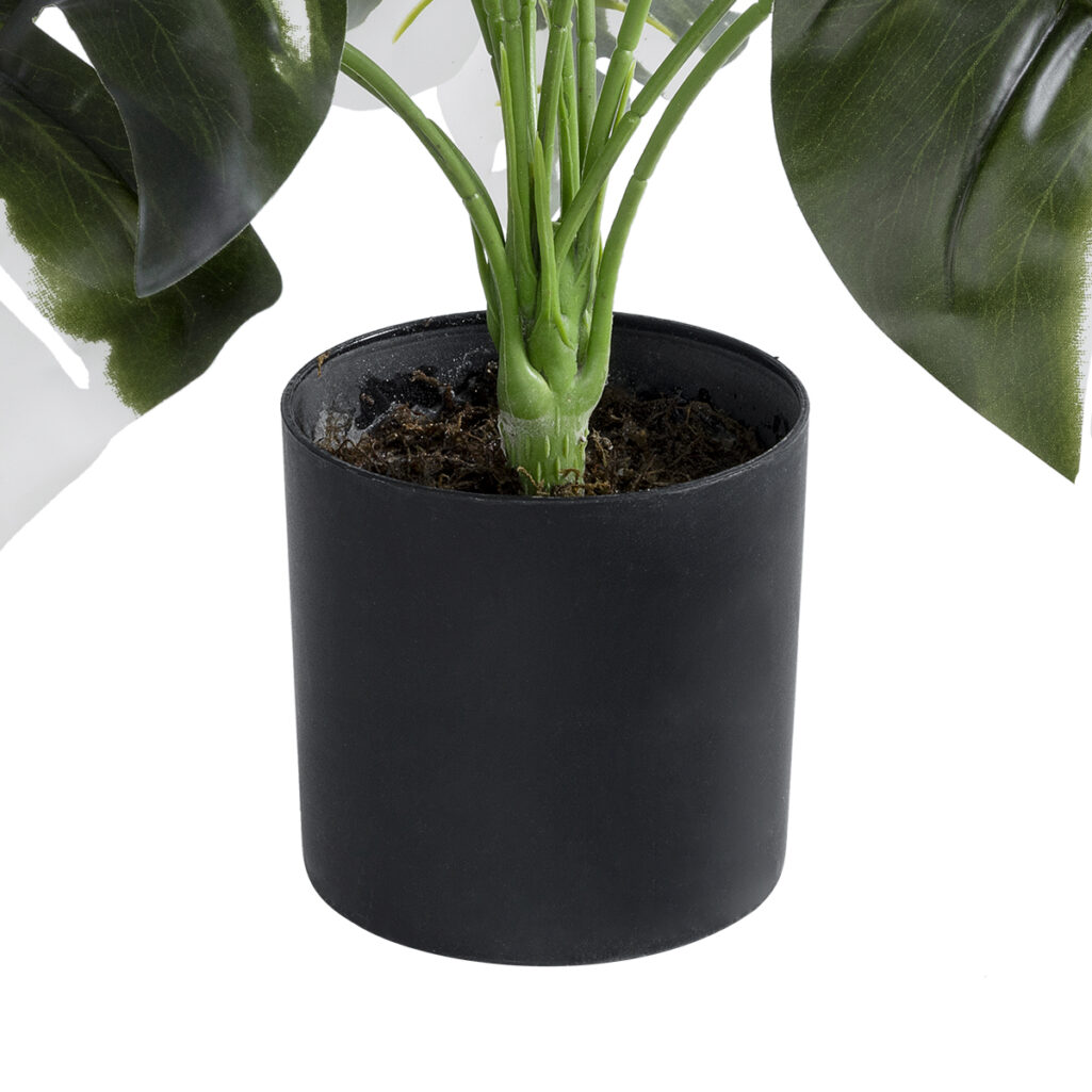 ALBINO MONSTERA PLANT 20935 - Διακοσμητικό Φυτό Λευκή Μονστέρα Φ60 x Υ55cm