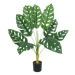 MONSTERA PLANT 20937 - Διακοσμητικό Φυτό Μονστέρα Φ90 x Υ80cm