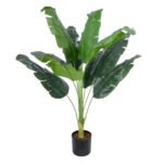 BANANA PLANT 20939 - Διακοσμητικό Φυτό Μπανανιά Φ70 x Υ90cm