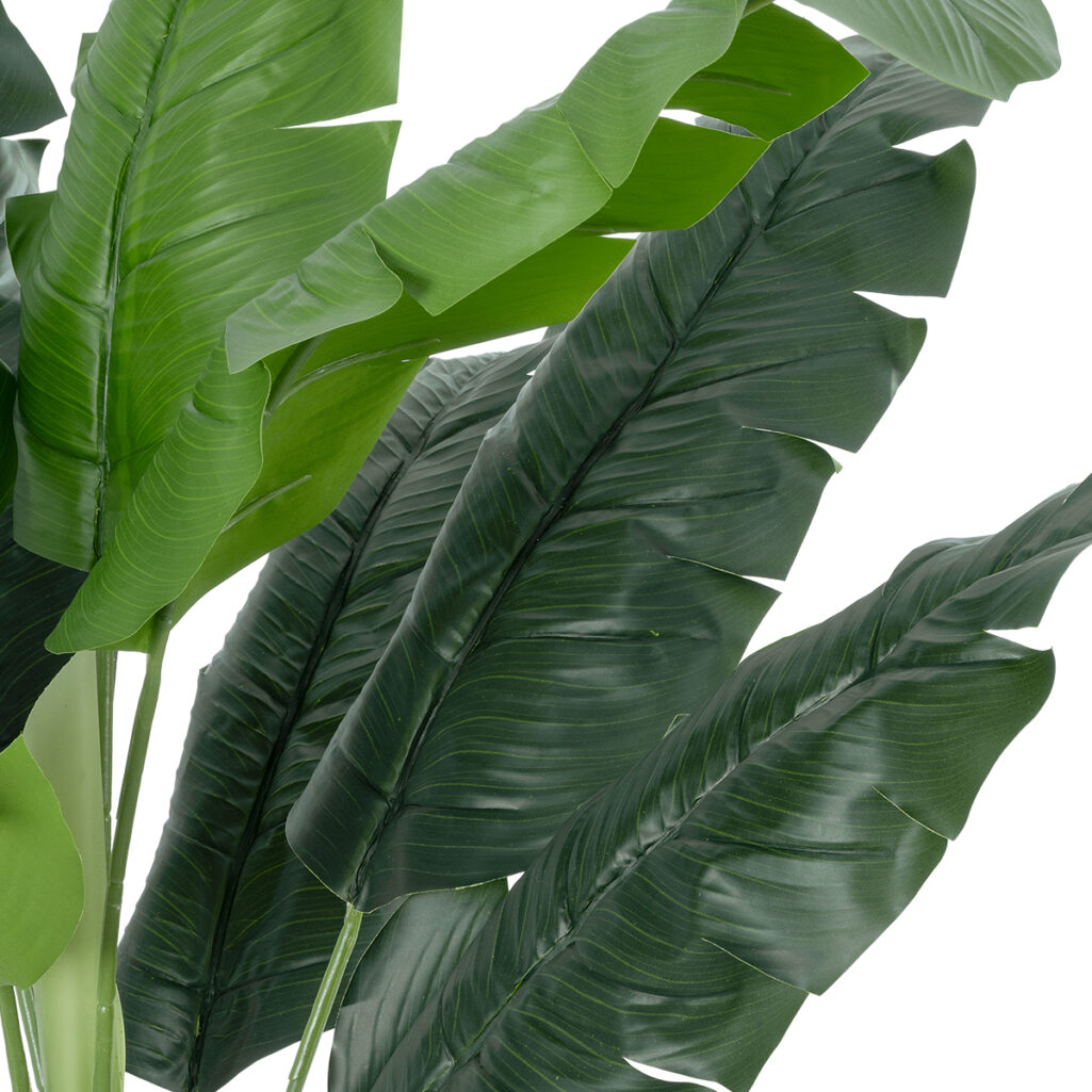 BANANA PLANT 20939 - Διακοσμητικό Φυτό Μπανανιά Φ70 x Υ90cm