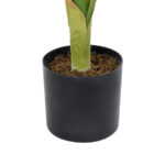 BANANA PLANT 20939 - Διακοσμητικό Φυτό Μπανανιά Φ70 x Υ90cm