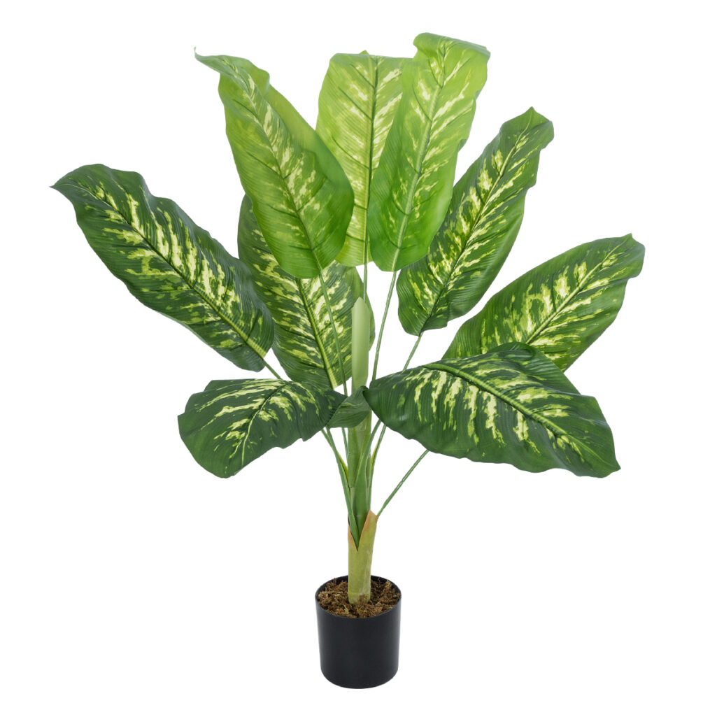 CALATHEA PLANT 20940 Διακοσμητικό Φυτό Καλαθέα Φ80 x Υ90cm