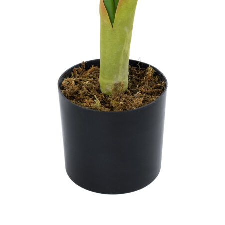 CALATHEA PLANT 20940 Διακοσμητικό Φυτό Καλαθέα Φ80 x Υ90cm - Τροπικα και Ιδιαιτερα Τεχνητα φυτα Sticky 4