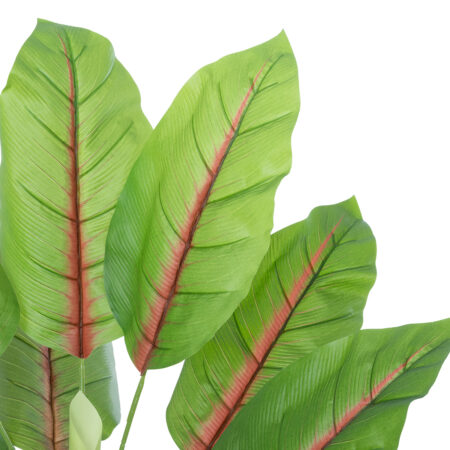 BLOOD BANANA PLANT 20944 - Διακοσμητικό Φυτό Αιματόφυλλη Μπανανιά Φ70 x Υ90cm - Τεχνητες Μπανανιες Sticky 1