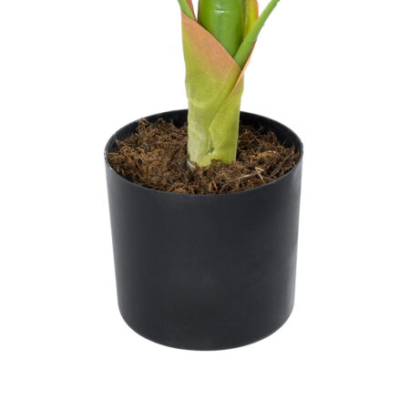 BLOOD BANANA PLANT 20944 - Διακοσμητικό Φυτό Αιματόφυλλη Μπανανιά Φ70 x Υ90cm - Τεχνητες Μπανανιες Sticky 2
