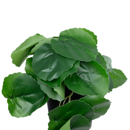 STRAWBERRY PLANT 20951 Διακοσμητικό Φυτό Φράουλα Φ23 x Υ16cm - Μικρα Φυτά και Παχύφυτα Sticky 1