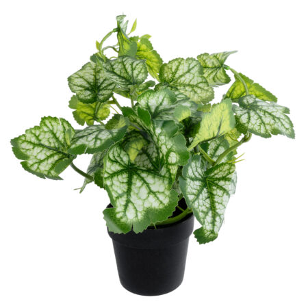 BEGONIA PLANT 20958 Διακοσμητικό Φυτό Βιγόνια Φ47 x Υ22cm - Τροπικα και Ιδιαιτερα Τεχνητα φυτα Sticky 2