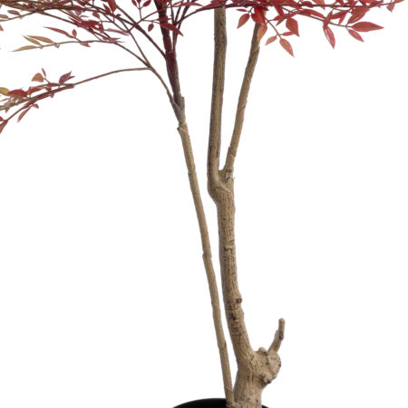 RED NANDINA PLANT 20966 Διακοσμητικό Φυτό Κόκκινη Ναντίνα Φ66 x Υ150cm - Τροπικα και Ιδιαιτερα Τεχνητα φυτα Sticky 2