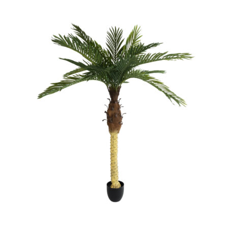 PHOENIX PALM TREE 20968 Τεχνητό Διακοσμητικό Φυτό Φοίνικας Φ150 x Υ180cm - Τεχνητοι Φοινικες