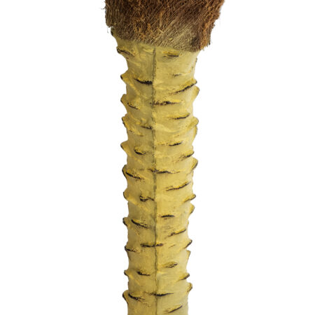 PHOENIX PALM TREE 20968 Τεχνητό Διακοσμητικό Φυτό Φοίνικας Φ150 x Υ180cm - Τεχνητοι Φοινικες Sticky 3