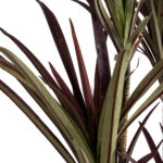DRAGON BLOOD TREE 20970 - Τεχνητό Διακοσμητικό Φυτό Δράκαινα Φ60 x Υ140cm