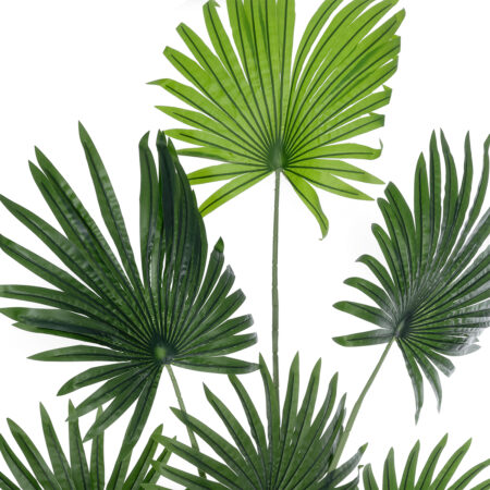 SERENOA PALM PLANT 20972 Διακοσμητικό Φυτό Φοίνικα Σερενόα Φ103 x Υ180cm - Τεχνητοι Φοινικες Sticky 1