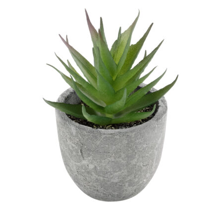 ΠΑΧΥΦΥΤΟ ALOE 21010 Διακοσμητικό Φυτό Παχύφυτο Αλόη Υ11cm - Μικρα Φυτά και Παχύφυτα
