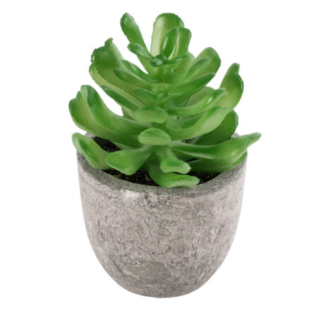 ΠΑΧΥΦΥΤΟ CRASSULA 21014 Διακοσμητικό Φυτό Παχύφυτο Κράσουλα Υ11.5cm - Μικρα Φυτά και Παχύφυτα