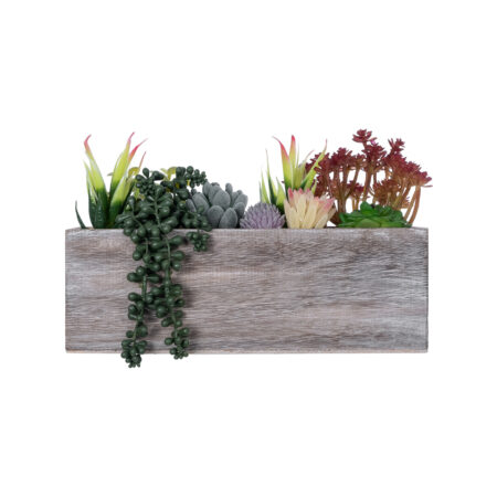 ΠΑΧΥΦΥΤΟ VARIUS PLANT POTTED 21033 Διακοσμητικό Φυτό Μίξ Μ29 x Π10 x Υ18cm - Μικρα Φυτά και Παχύφυτα Sticky 1