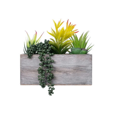ΠΑΧΥΦΥΤΟ VARIUS PLANT POTTED 21034 Διακοσμητικό Φυτό Μίξ Μ23 x Π13 x Υ23cm - Μικρα Φυτά και Παχύφυτα Sticky 1