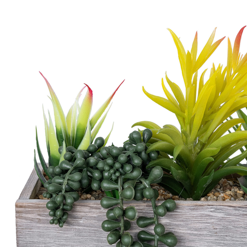ΠΑΧΥΦΥΤΟ VARIUS PLANT POTTED 21034 Διακοσμητικό Φυτό Μίξ Μ23 x Π13 x Υ23cm