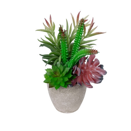 ΠΑΧΥΦΥΤΟ VARIUS PLANT POTTED 21039 Διακοσμητικό Φυτό Μίξ Μ17 x Υ20cm - Μικρα Φυτά και Παχύφυτα