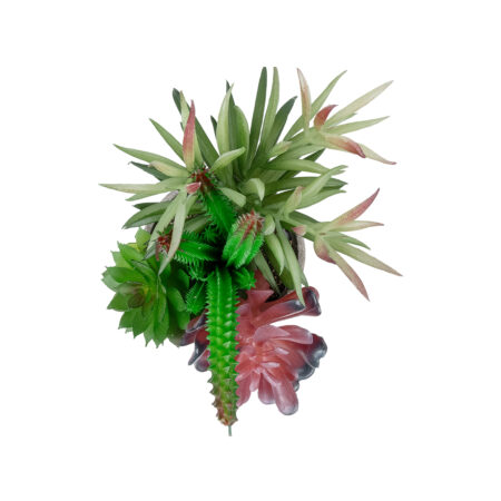 ΠΑΧΥΦΥΤΟ VARIUS PLANT POTTED 21039 Διακοσμητικό Φυτό Μίξ Μ17 x Υ20cm - Μικρα Φυτά και Παχύφυτα Sticky 1