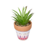 AIR PLANT NEOPHYTUM ΣΕ ΓΛΑΣΤΡΑΚΙ 21043 Διακοσμητικό Φυτό Νεόφυτο Φ12 x Υ15cm
