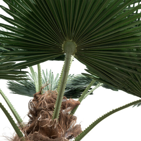 PLANT PALM TREE 21055 Διακοσμητικό Δέντρο Φοίνικα  Φ240 x Υ400cm - Τεχνητοι Φοινικες Sticky 1