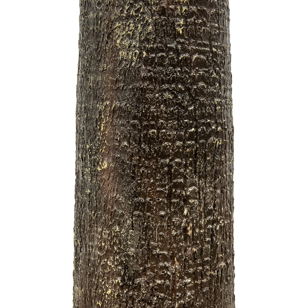 PLANT PALM TREE 21055 Διακοσμητικό Δέντρο Φοίνικα Φ240 x Υ400cm