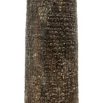 PLANT PALM TREE 21056 Διακοσμητικό Δέντρο Φοίνικα  Φ240 x Υ500cm