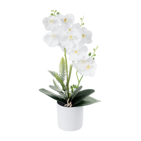 WHITE ORCHID 21076 Διακοσμητικό Φυτό Λευκή Ορχιδέα Υ45cm - 