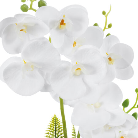 WHITE ORCHID 21076 Διακοσμητικό Φυτό Λευκή Ορχιδέα Υ45cm -  Sticky 1