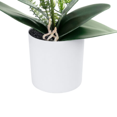 WHITE ORCHID 21076 Διακοσμητικό Φυτό Λευκή Ορχιδέα Υ45cm -  Sticky 2