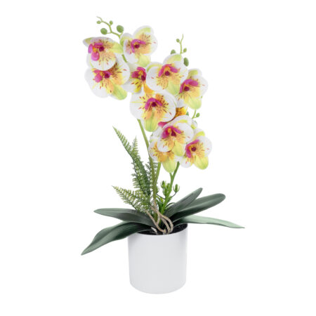 WHITE - FUCHSIA ORCHID 21078 Διακοσμητικό Φυτό Λευκή - Φούξια Ορχιδέα Υ45cm - 