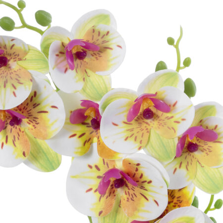 WHITE - FUCHSIA ORCHID 21078 Διακοσμητικό Φυτό Λευκή - Φούξια Ορχιδέα Υ45cm -  Sticky 1