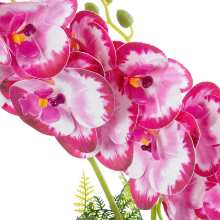 PINK + FUCHSIA ORCHID 21079 Διακοσμητικό Φυτό Ροζ - Φούξια Ορχιδέα Υ45cm -  Sticky 1