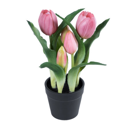 PINK TULIP 21092 Διακοσμητικό Φυτό Ροζ Τουλίπα Υ23cm - Μικρα Φυτά και Παχύφυτα