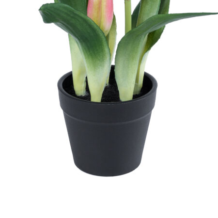 PINK TULIP 21092 Διακοσμητικό Φυτό Ροζ Τουλίπα Υ23cm - Μικρα Φυτά και Παχύφυτα Sticky 2