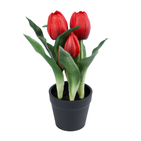 RED TULIP 21094 Διακοσμητικό Φυτό Κόκκινη Τουλίπα Υ23cm - Μικρα Φυτά και Παχύφυτα