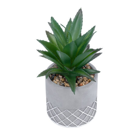 ΠΑΧΥΦΥΤΟ ALOE 21096 Διακοσμητικό Φυτό Παχύφυτο Αλόη Υ17cm - Μικρα Φυτά και Παχύφυτα