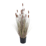 BROWN LAGURUS 21099 Διακοσμητικό Φυτό Καφέ Λαγοουρά Υ70cm