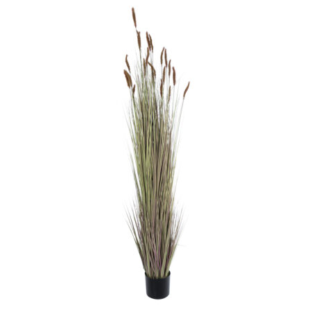 BROWN LAGURUS 21103 Διακοσμητικό Φυτό Καφέ Λαγοουρά Υ180cm - Τεχνητά Γρασίδια και Χόρτα