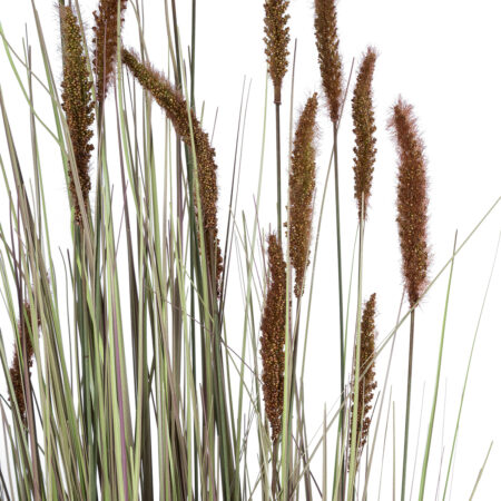 BROWN LAGURUS 21103 Διακοσμητικό Φυτό Καφέ Λαγοουρά Υ180cm - Τεχνητά Γρασίδια και Χόρτα Sticky 1