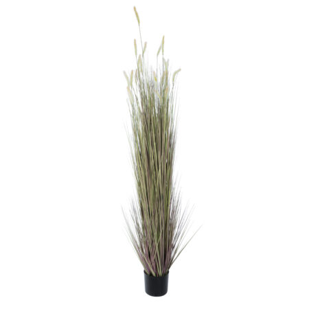 BEIGE LAGURUS 21104 Διακοσμητικό Φυτό Μπεζ Λαγοουρά Υ180cm - Τεχνητά Γρασίδια και Χόρτα